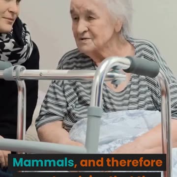 Garlic damage to the brain