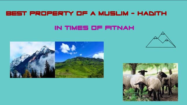 Take Sheep to Mountains