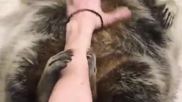 Don't move me