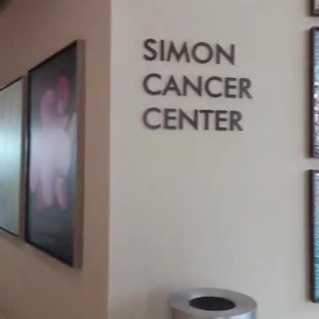 Flashback. Here for the artwork and the art fair. I love art.