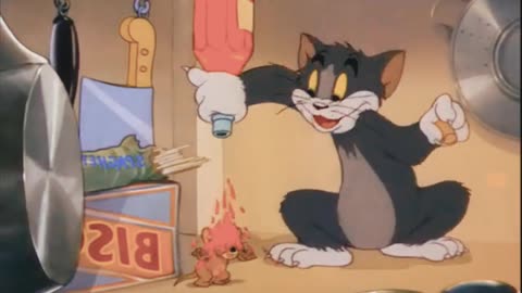 Funny Tom and jerry