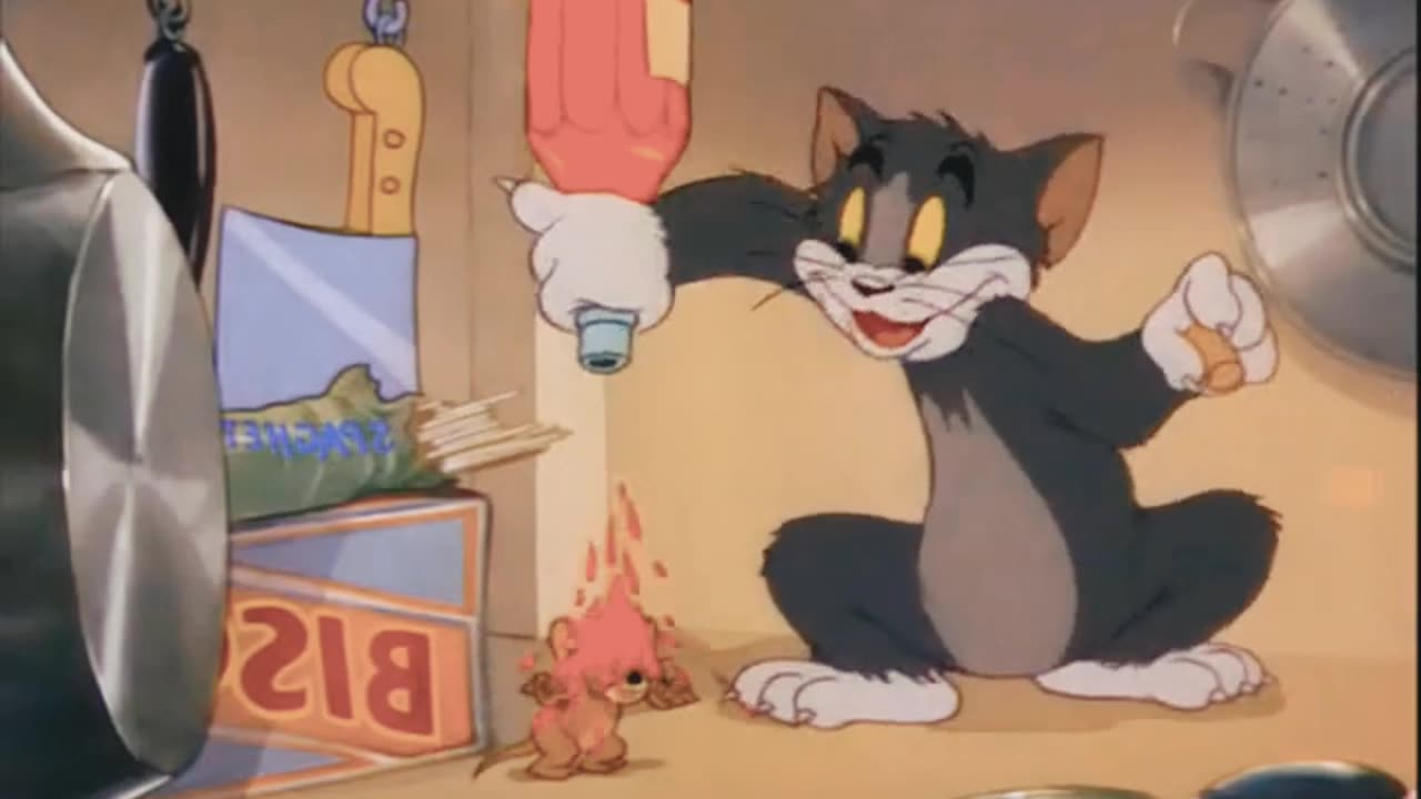 Funny Tom and jerry