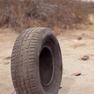 Tires Kill Everything in Sight.#shorts