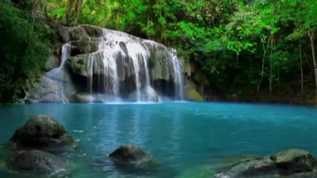 Relaxing Tropical Rainforest Nature Sounds