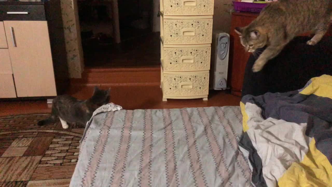 Very cunning attack