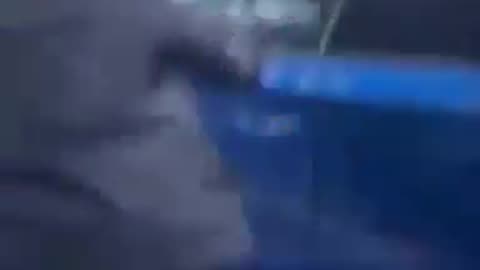 Non-whites hitting, kicking and attempting to disrupt traffic in birmingham earlier