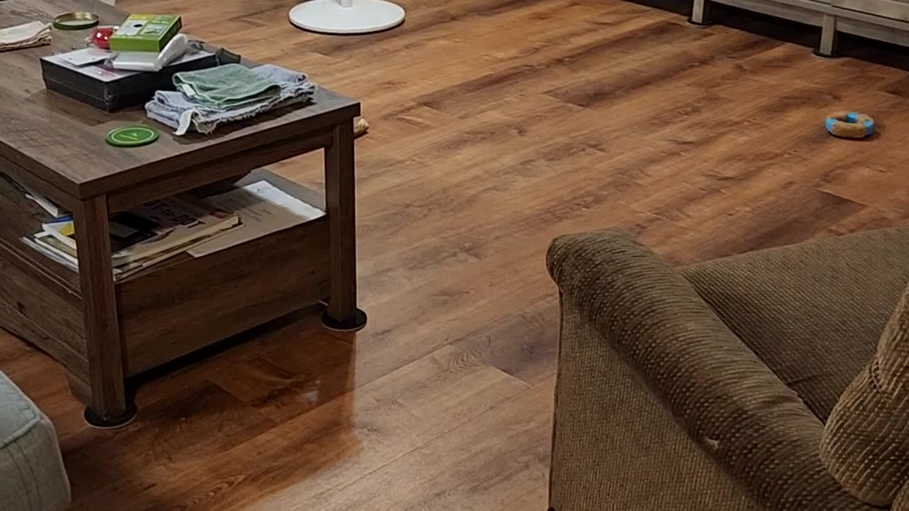 Ta-Da!