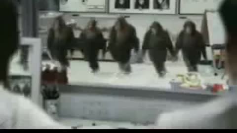 funny news funny movie titles funny movie titles DANCING MONKEYS Funny Animal Videos funny pictures