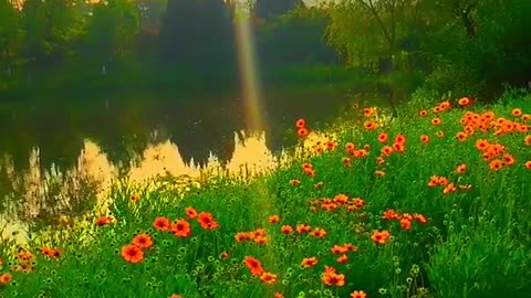 Beside a beautiful lake, beautiful flowers