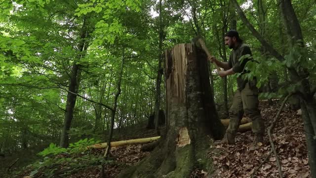 Tree house with your own hands. Start to finish