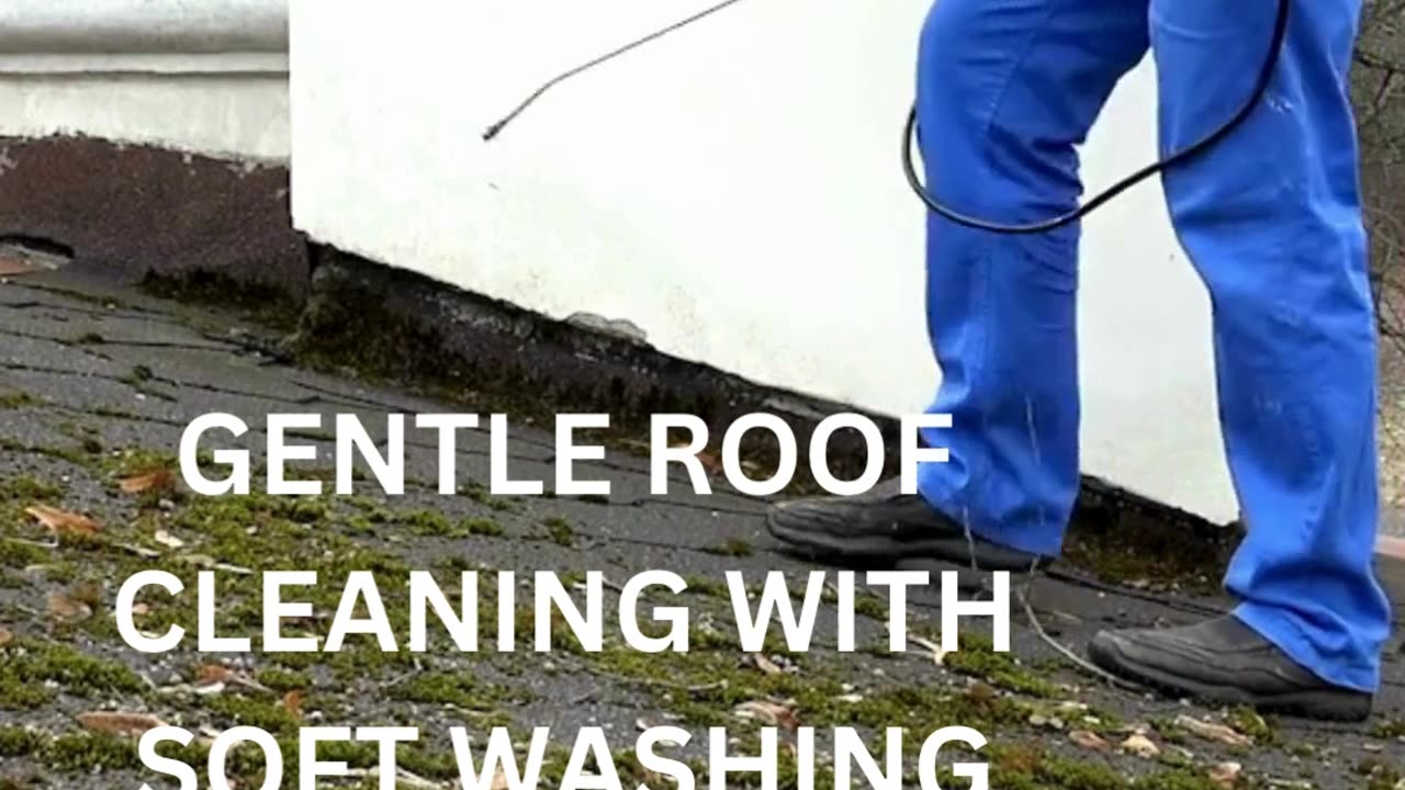 Improve Your Roof, Driveway, and House with Jiffy Pressure Washing Cleaning Services