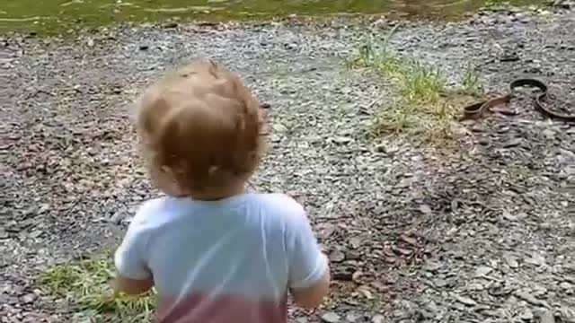 The dog protects the baby from being caught in the sea