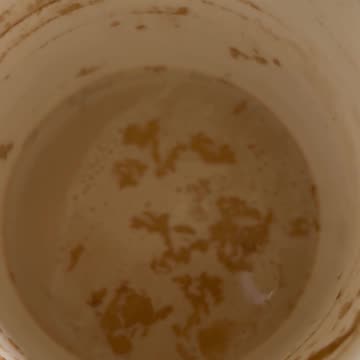 Grow . . Expand Your Awareness