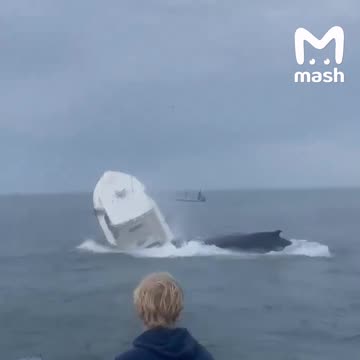 Give the great whale some room and lots of respect