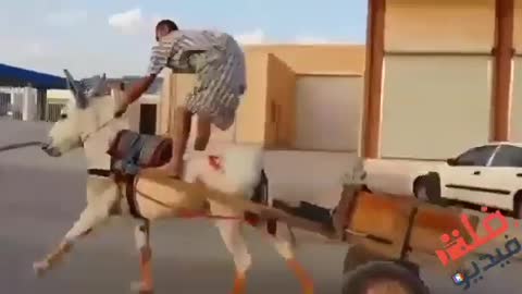 اضحك من قلبك