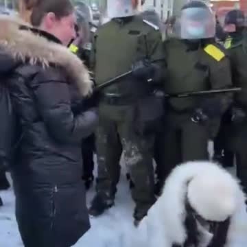 Police, military, NWO police