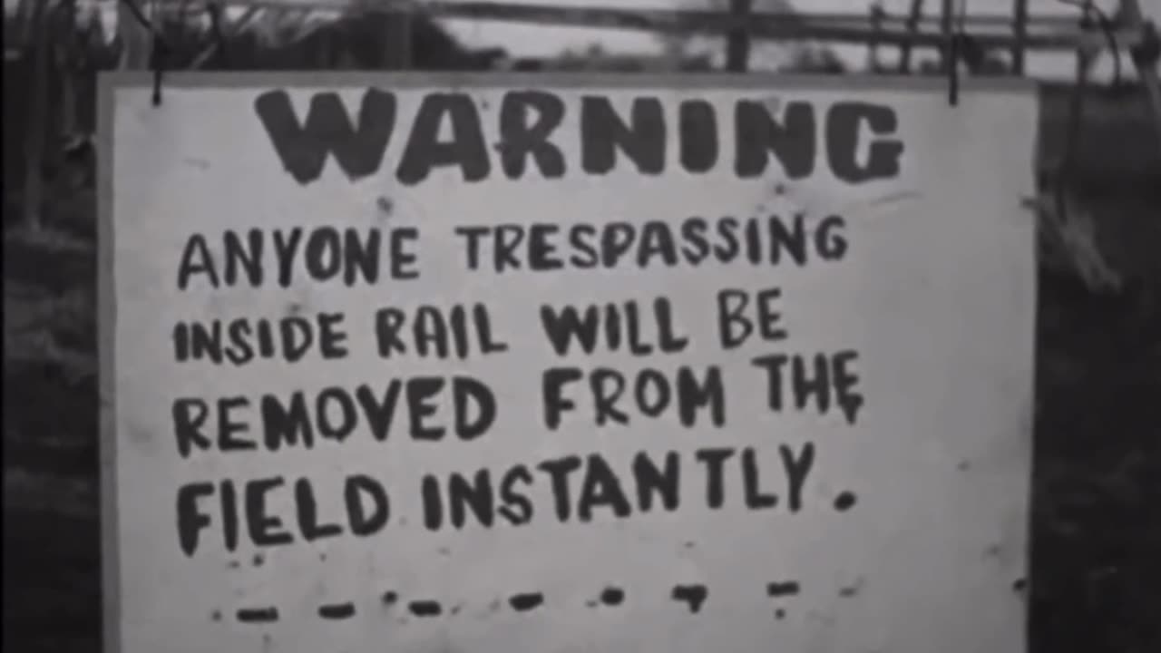 Meanwhile in 1966 Ireland 🇮🇪 #faeries #ireland #memes