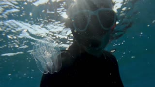 Diver Comes Face to Face with Beautiful Jellyfish