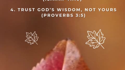 4 Things to do Today