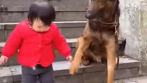 The Cutest Babysitter Ever! #cutebaby #dog #cat #cute #kitten #pets