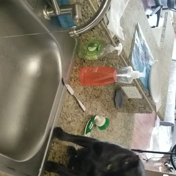 20240914 125125 Tux Faucet Drinking