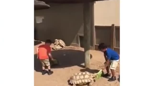 Try not to laugh top 10