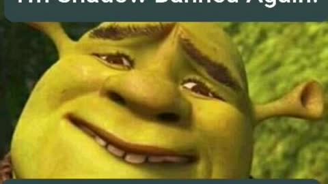 Shadow Banned