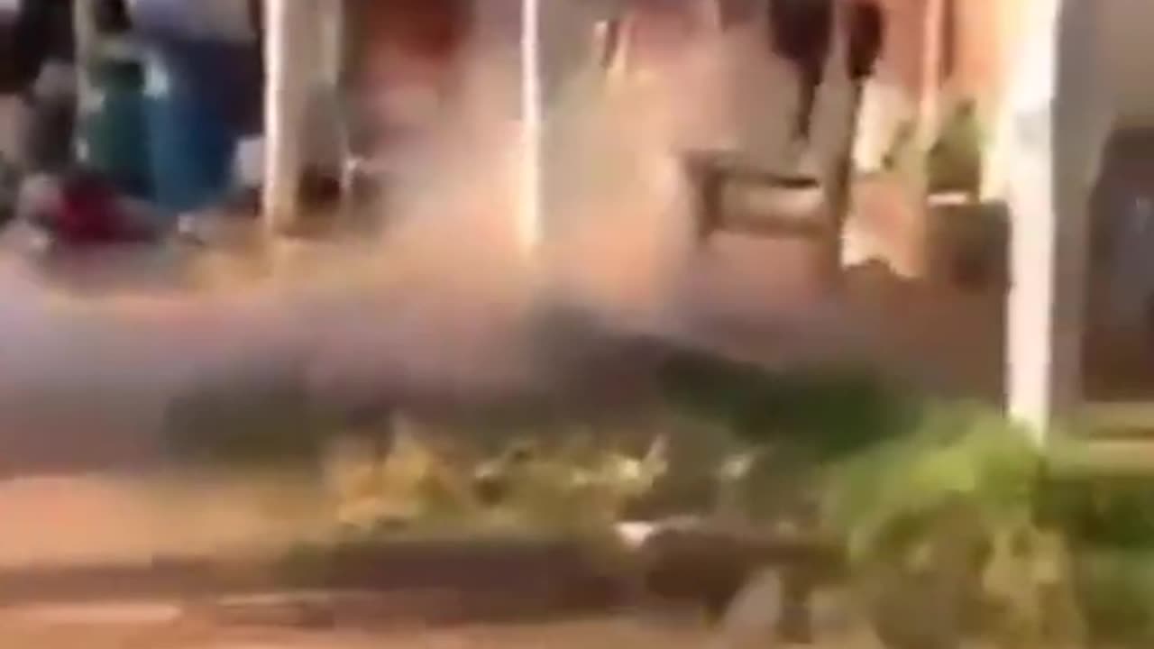 Tey😂# not#🤣funny#Video