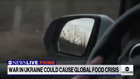 Ukraine’s farmers persevere as war threatens global food supply