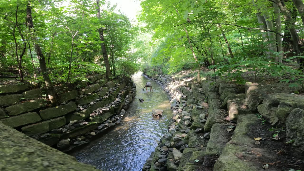 ☀️ In My Retirement 🌊 Day 12 Creek Life 🌴In Ottawa 🦆 Canada 🍁