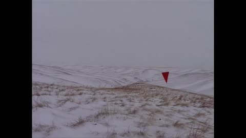 South Dakota Coyote Hunt