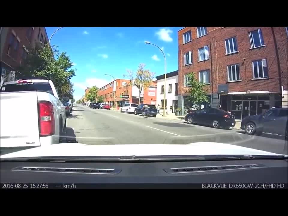 Tesla Crash and Fail Compilation