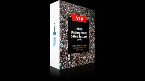 Ebus VIP, Done For You Service (ebay system10000 Products)