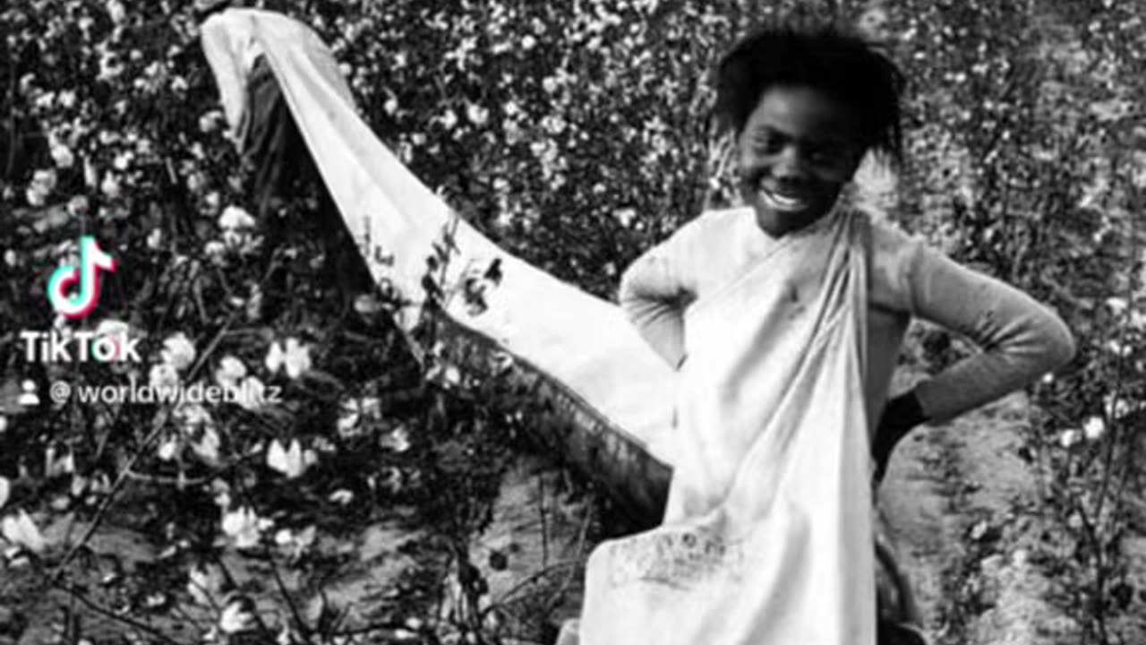 Indigo Plant & Aborignal “Black Slaves “ In Americas