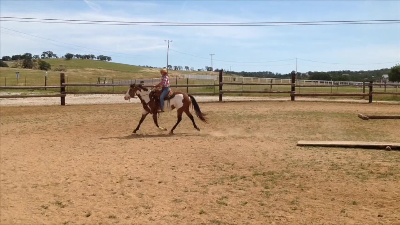 Smooth Canter departures