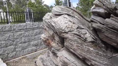 The Original Forest on Flat Earth Part 5, Mount Rushmore