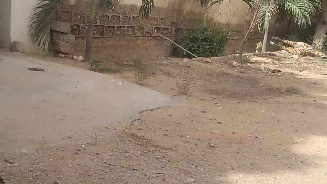 How good is it was a good 💯💯 to get rid of a picture of the best