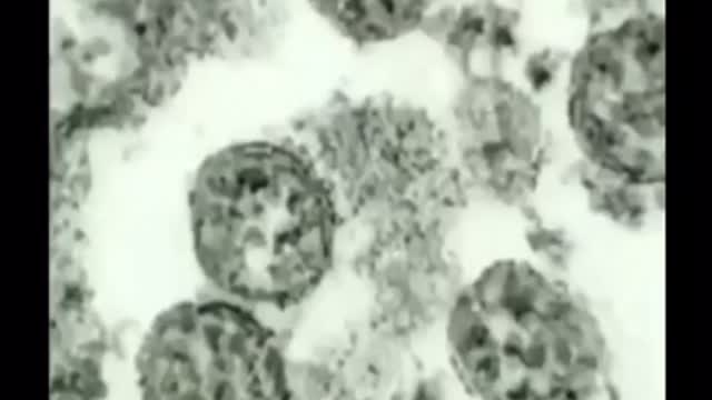 Can anyone validate this?