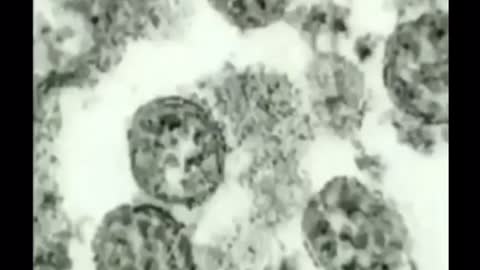 Can anyone validate this?