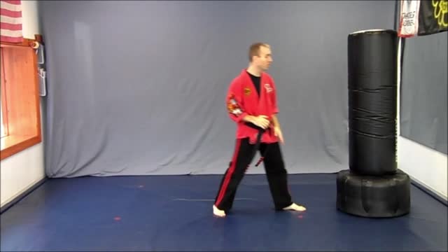 Basic Skillz Brown Belt - Blue Stripe