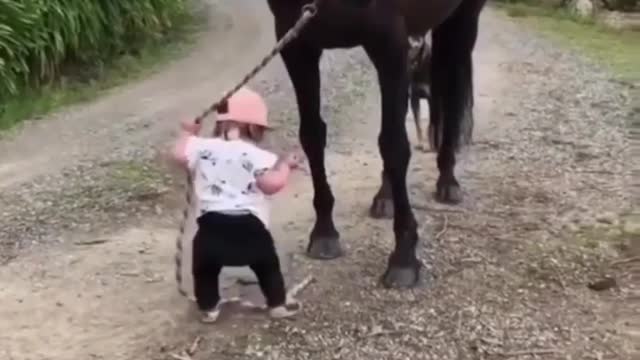 Baby Playing with horse | Cute moment | Does your Baby do like him? Short Reel Video