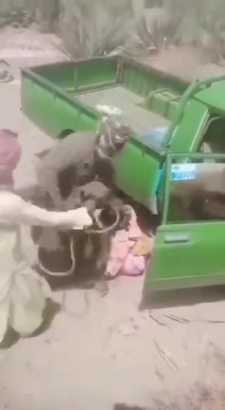 イスラム教による女性虐待（幼児虐待も）は現代においてもなお続いている。彼らは獣のように共謀だ。共生などできない。