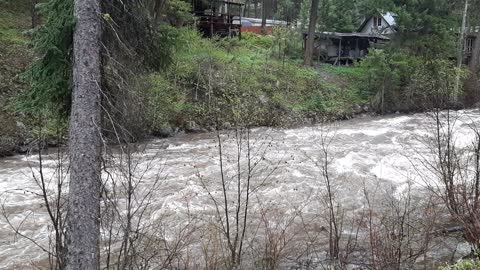 East Fork of the South Fork of the Salmon River