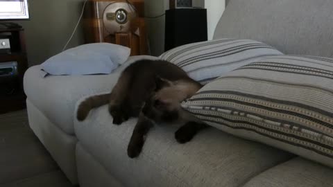 Pillow Talk