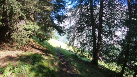 Bryndli to Gimmilwald Hike 12