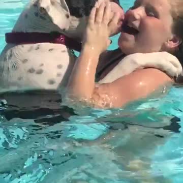 Perro actúa como guardavidas y activamente observa a la joven nadadora