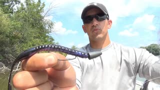 How to setup the Texas Rig with soft plastic baits