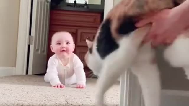 wow nice baby playing, smile, dance, cute baby song status, cute baby #shorts #trending #viral.mp4