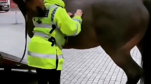 What happend to Horse.
