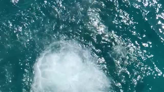 high jump of a yacht at sea